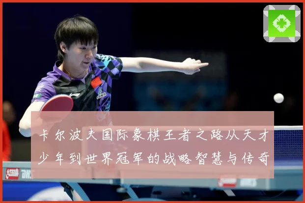 卡尔波夫国际象棋王者之路从天才少年到世界冠军的战略智慧与传奇人生解析